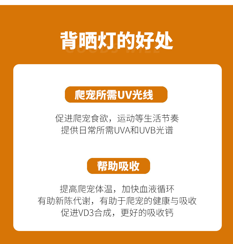 晒背灯黄色背景_06.jpg