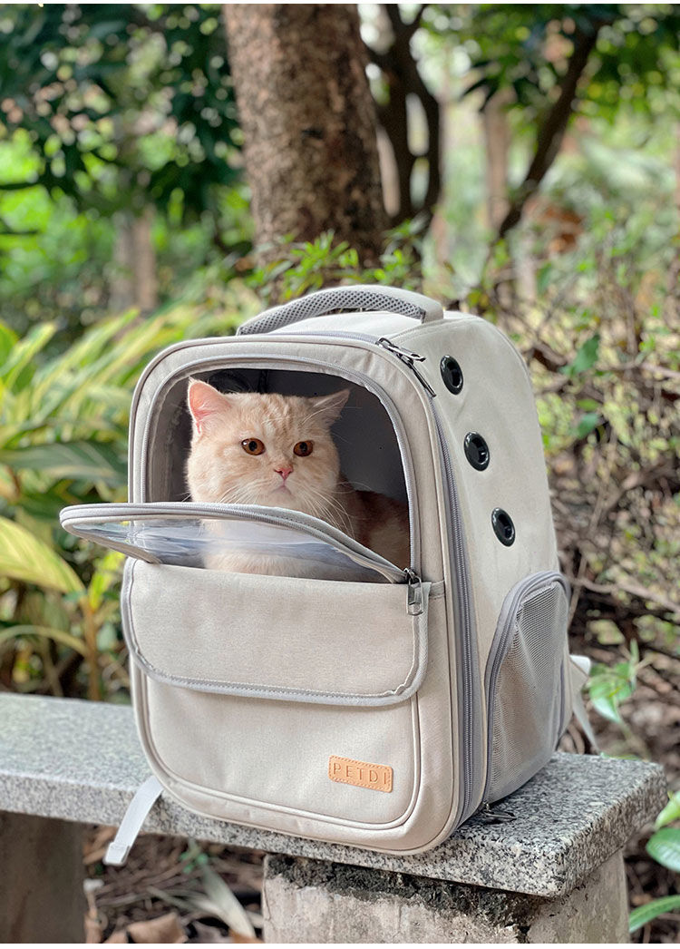 /O1CN019nzmJD1nAxAWhrHrP_!!2219395865050-0-cib.jpg?x-oss-process=image/format,png