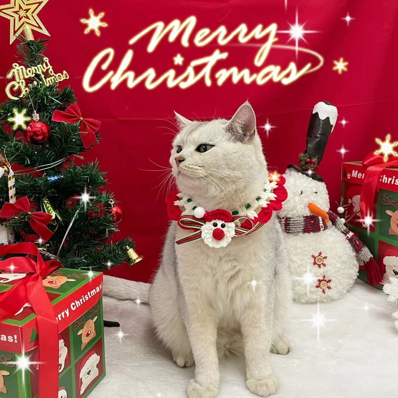 25b02c24a42c978e194e1aa8c6bb53