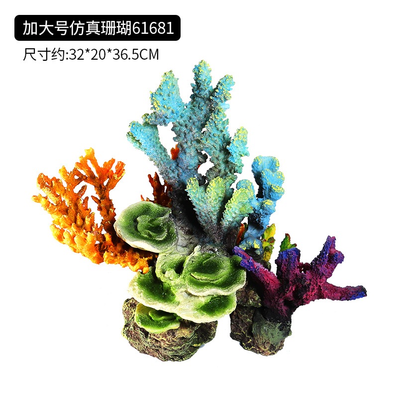 加大号珊瑚61681