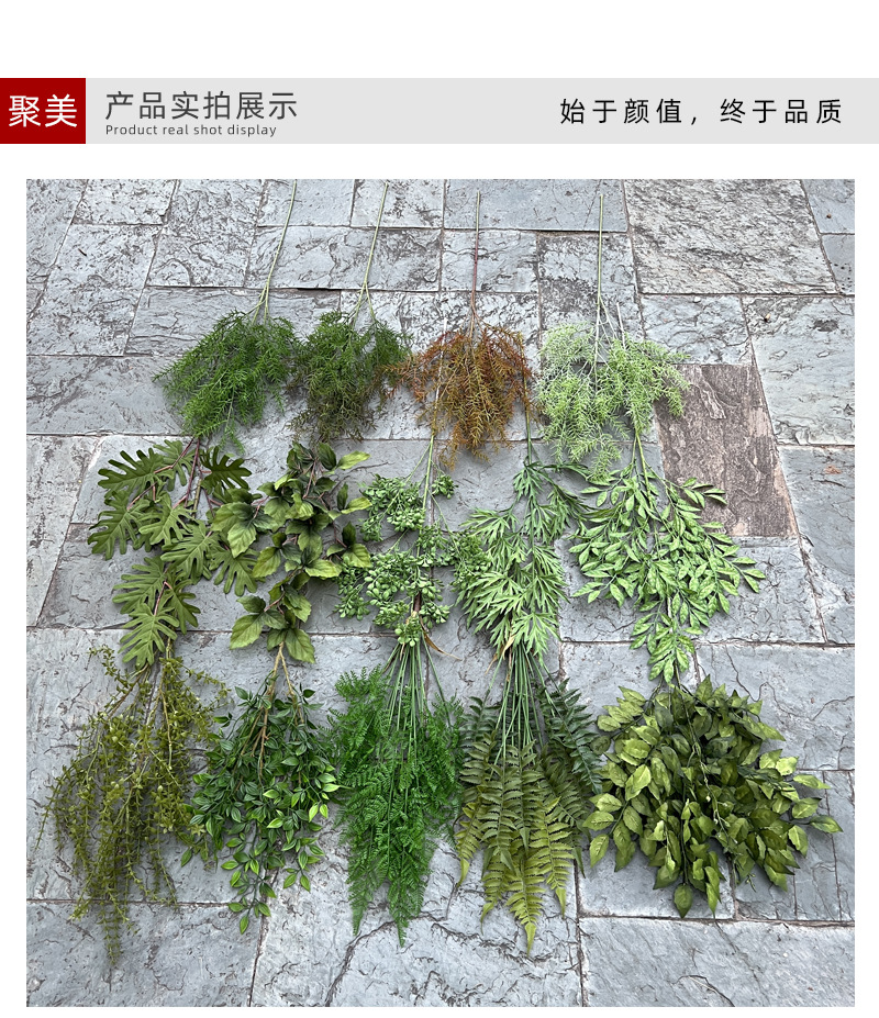 中号飞燕草-详情_05.jpg