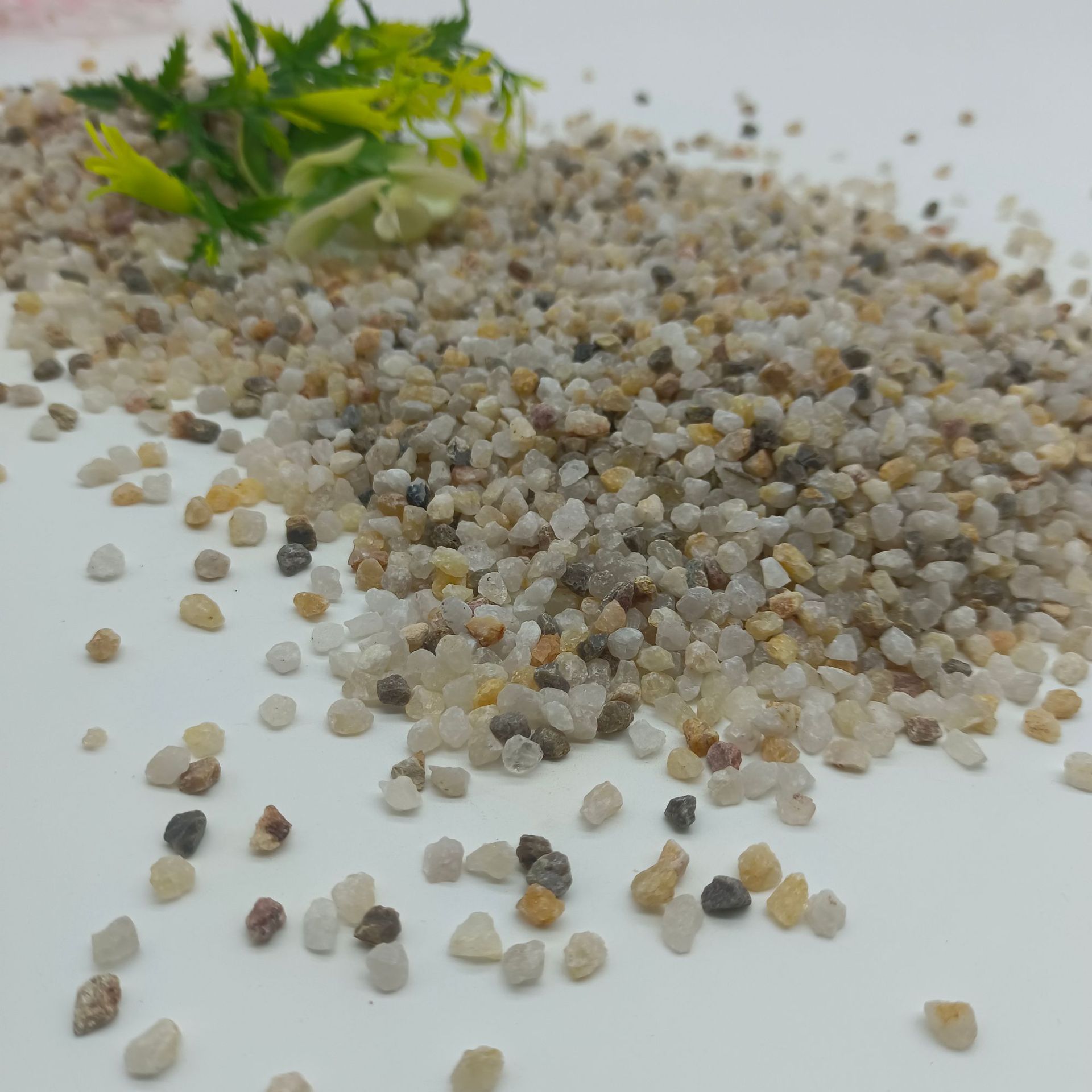 微信图片_20240918120954