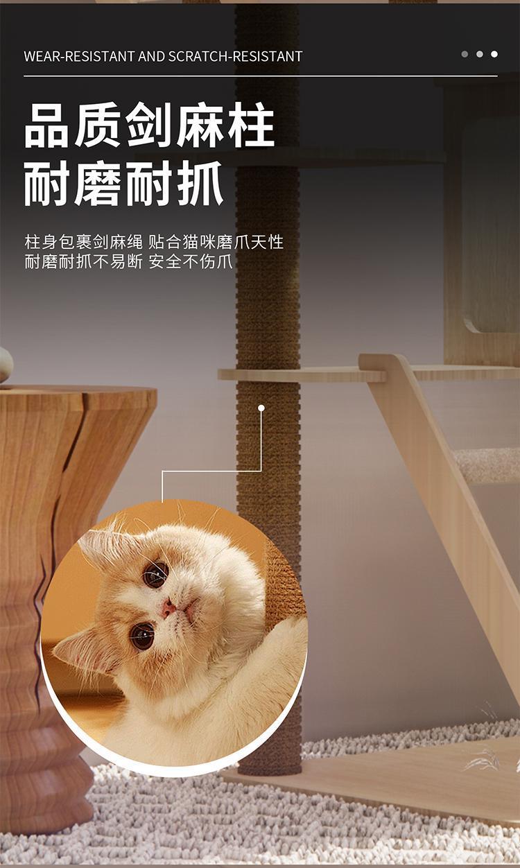 98865489-cb13-4152-8f4b-fd2fe9eacdc2.jpe