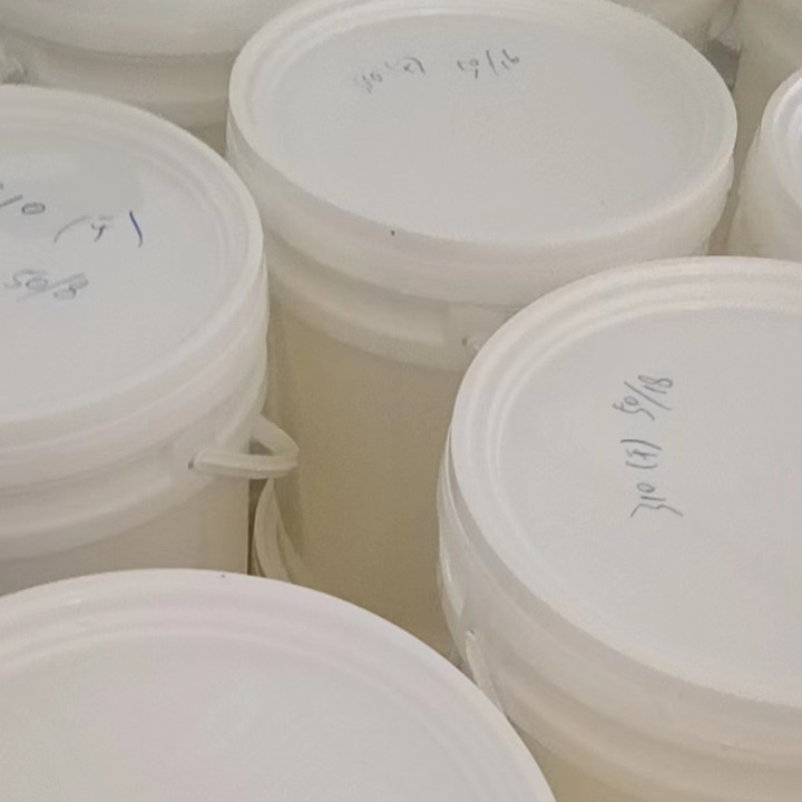 2024-11-14 08:55:06.jpg