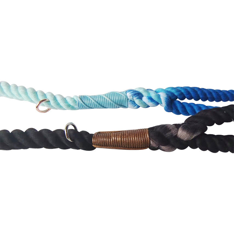 画板 1 拷贝 3.jpg