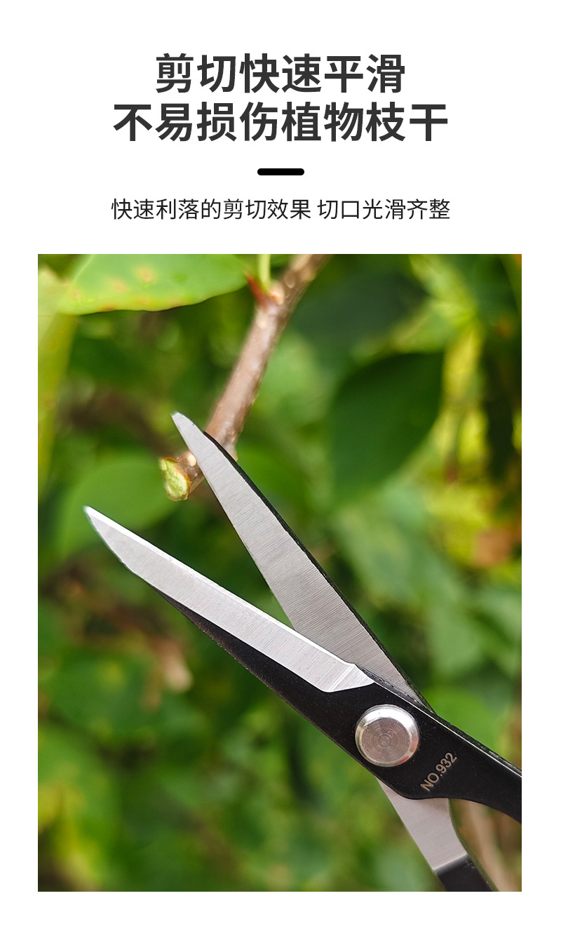 详情_06.jpg