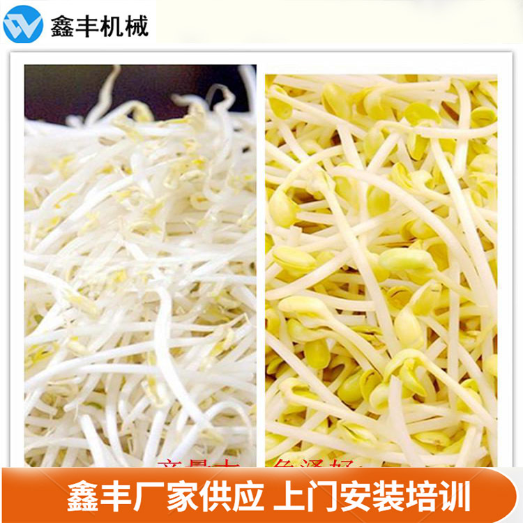 AAA豆芽机设备 (6).jpg