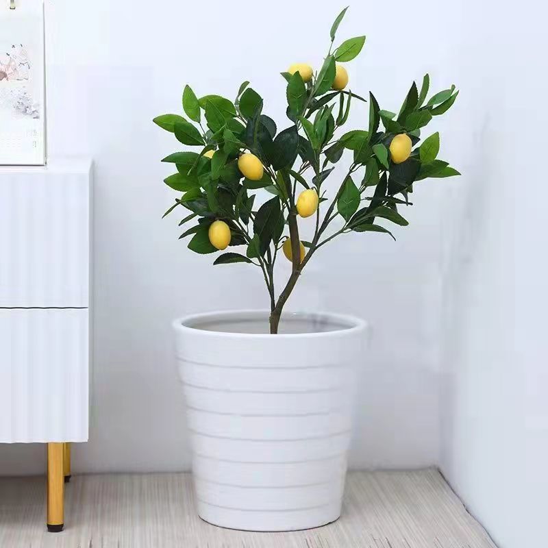 cd2399e7-fd24-40a6-855a-2281afd18937.jpe