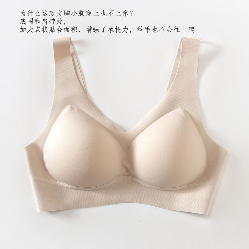 IMG_2513_副本 不上窜.jpg