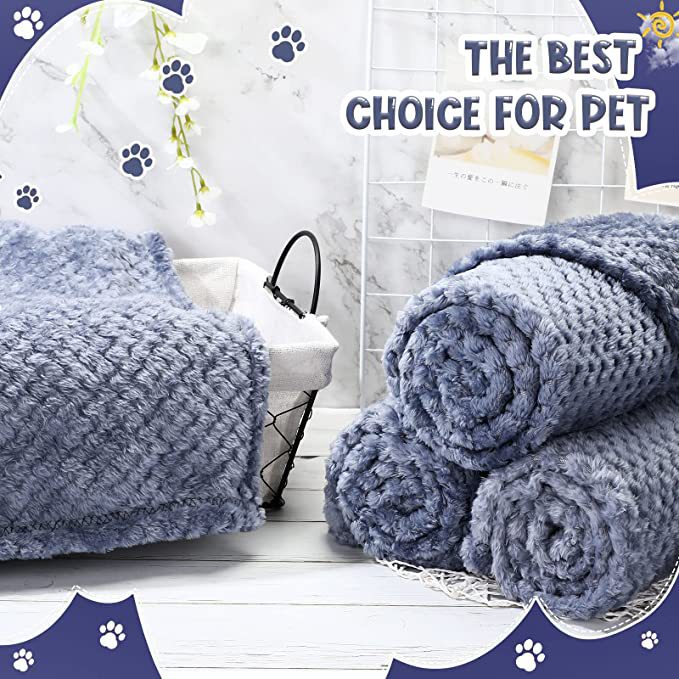 81FXGLSLHaL._AC_SX679._SX._UX.