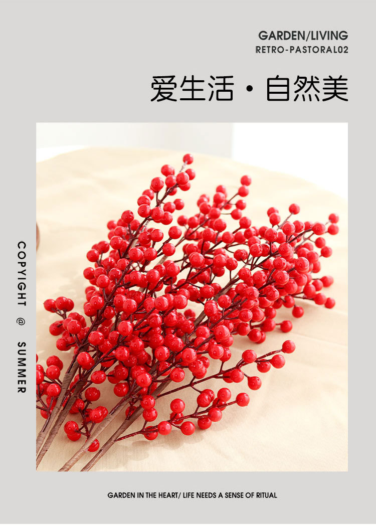 发财果红果_03.jpg