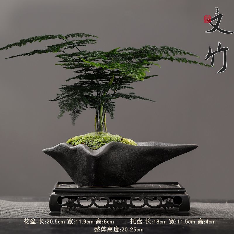 c0723a85-1721-4211-bc97-1601253905e5.jpe