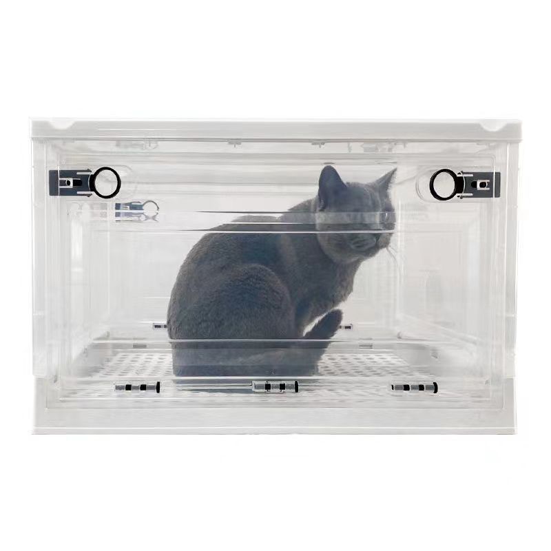 0a15e544-09bb-4133-9aba-4a85a639525a.jpe