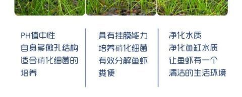 3266b162-bebf-4e71-91d1-f5fdcdd5f446.jpe