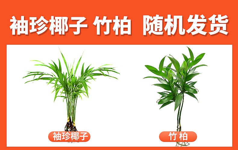 573e9bc3-e831-49ef-a58b-525e848d2c10.jpe