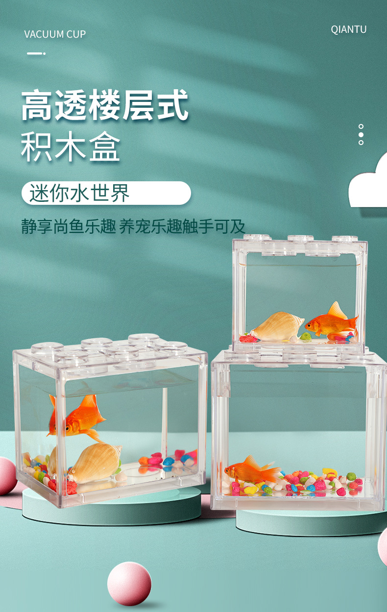 高透积木鱼盒_02.jpg