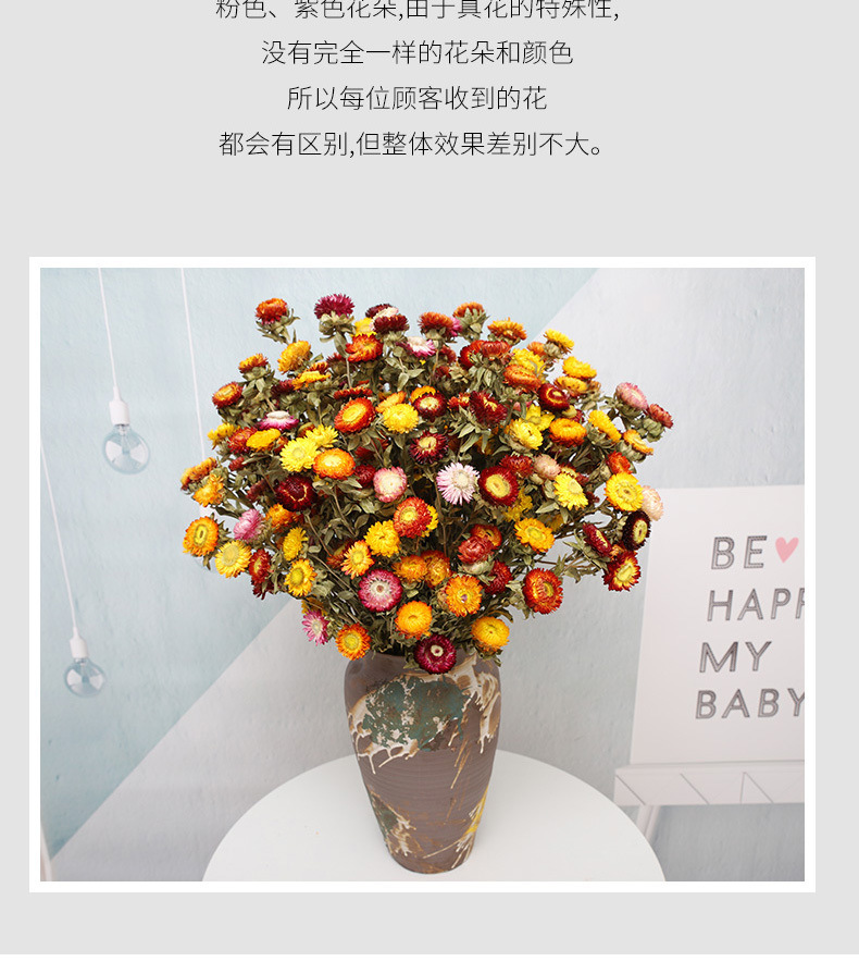 d2b9e359-bdeb-4f96-8996-a0b45429188d.jpe