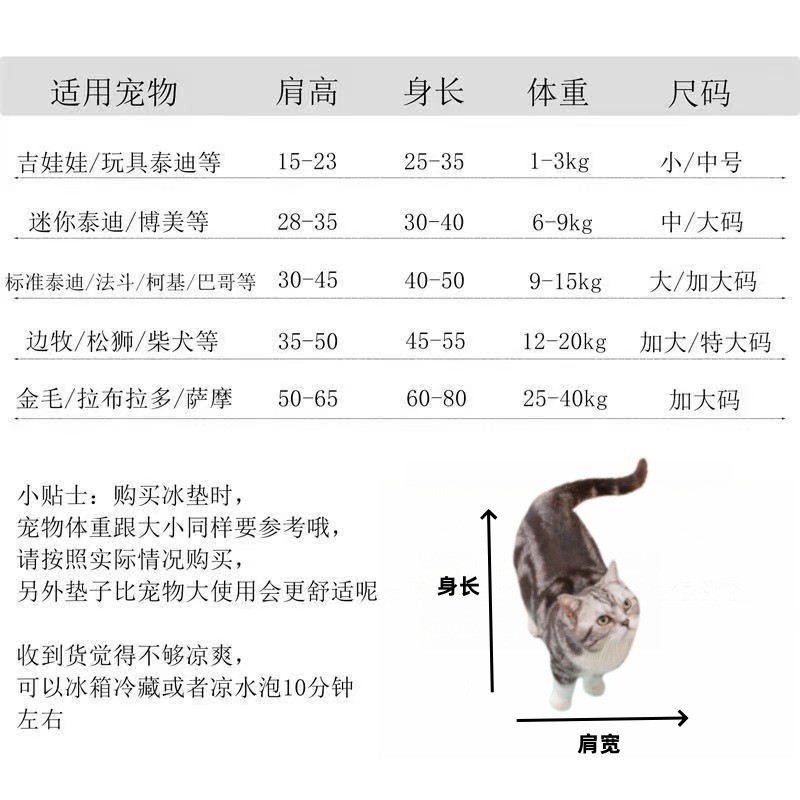 737bd6b9-e52a-4862-8762-7ba5f7d699c9.jpe