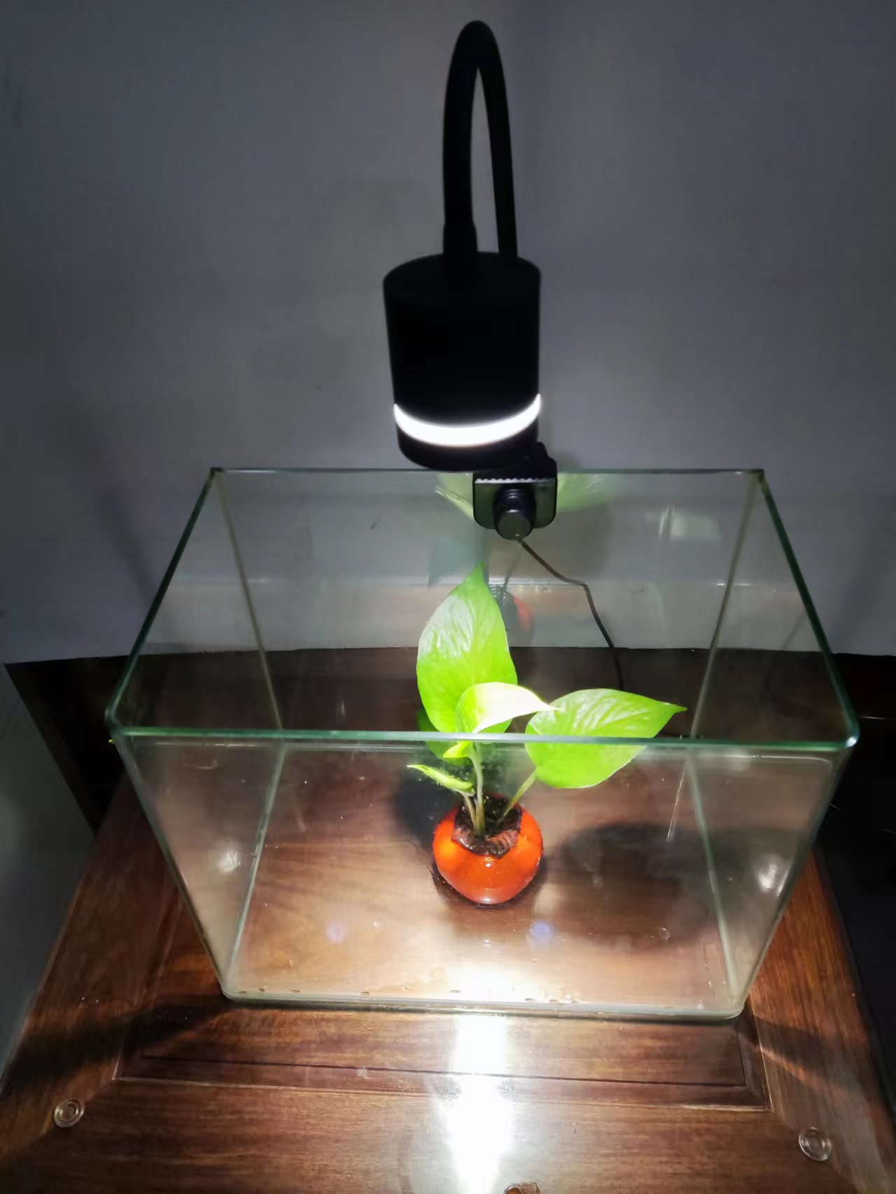 微信图片_20221102205352