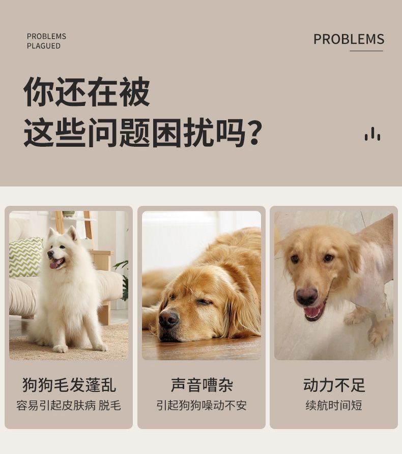 28d002a9-99d6-47a0-9400-389a1659cdff.jpe