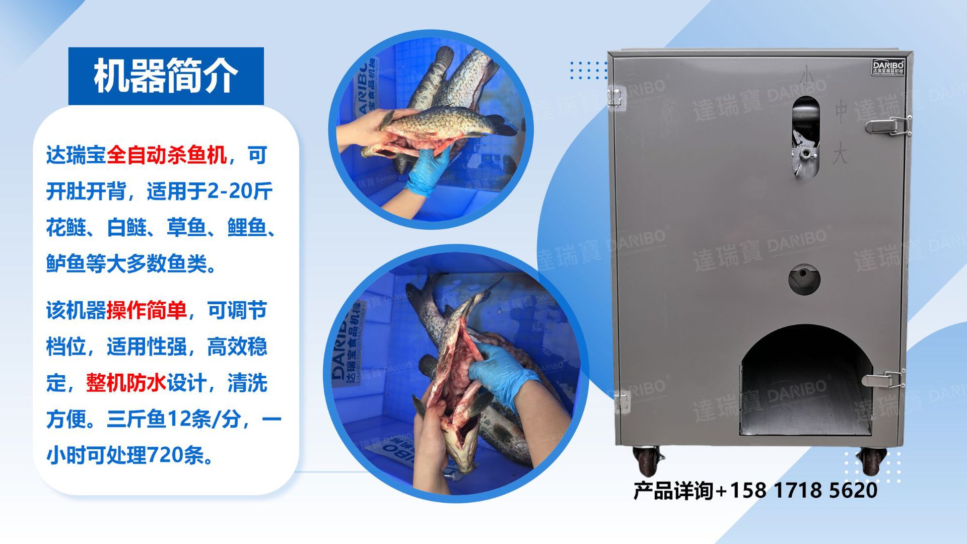 杀鱼机 1688用_01