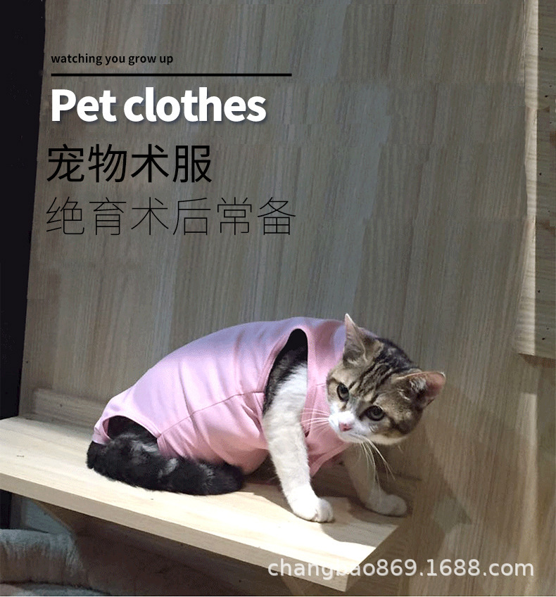 猫咪手术服_详情页_01.jpg