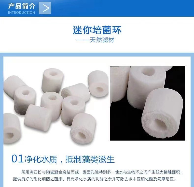 23ebc1fe-e5d1-41c7-82b6-3ccf97bdca8c.jpe