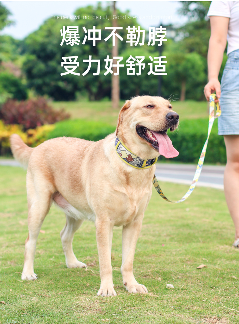 印花包边项圈_07.jpg