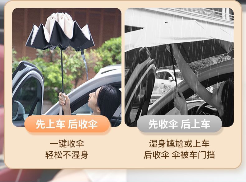 554a68da-b346-48d2-950f-a36c85f91cb5.jpe