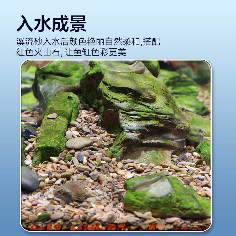 O1CN01VDCznR2N3Sg9zdVbR_!!2129