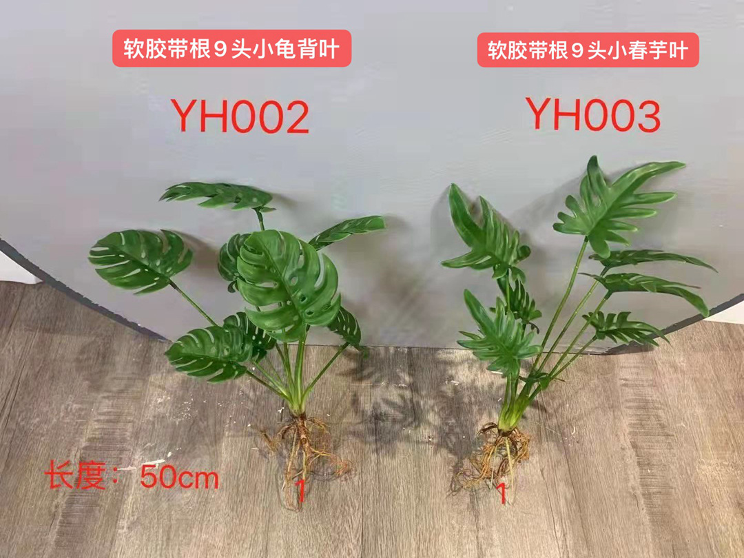 微信图片_20211128180333