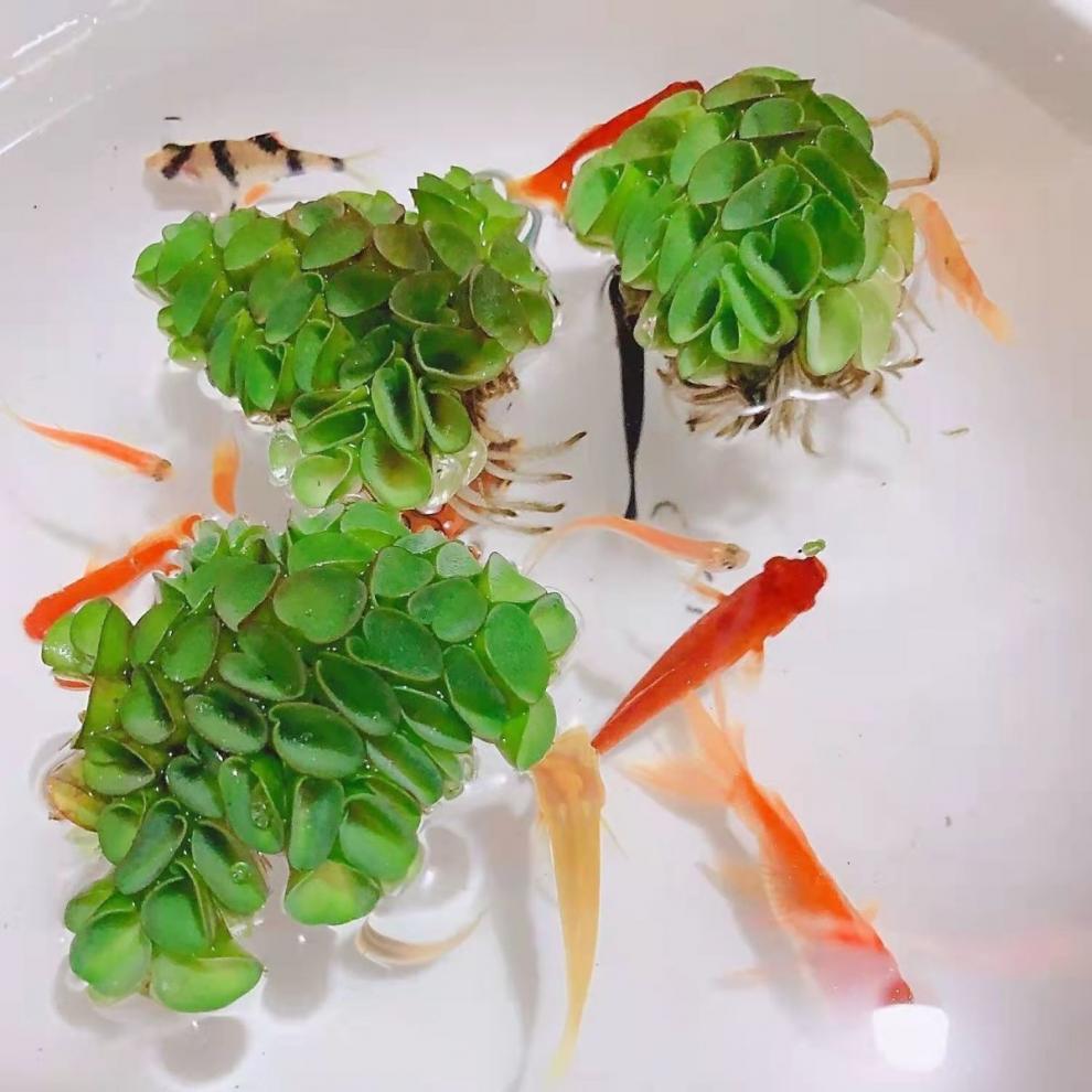 81e609df-e9c2-4539-be8f-695d6e46a56f.jpe