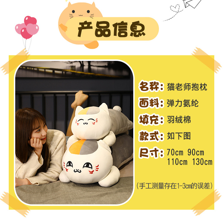 34-毛老师抱枕