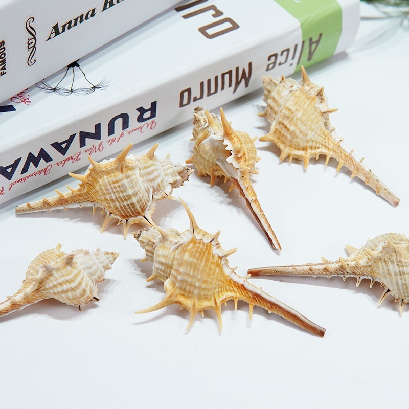 d3fbf0a1-5f27-47f4-ba23-3647e9e9689a.jpe