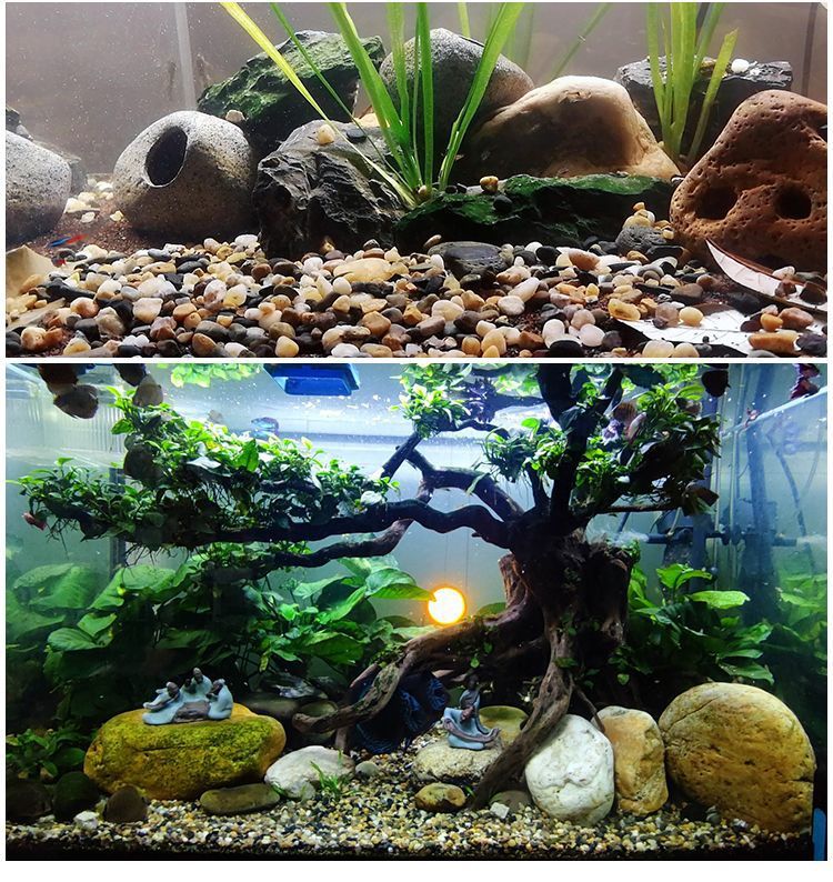 2c7927cc-3f2f-41fe-bc5c-5d23d47432bd.jpe