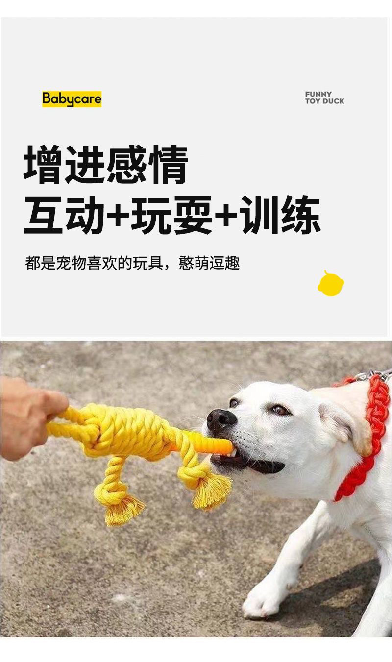 468067af-b737-4e3c-be14-71287216c6c3.jpe