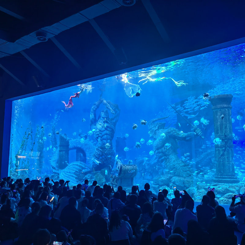 5d07965f-dffe-4189-98f6-f7f81c