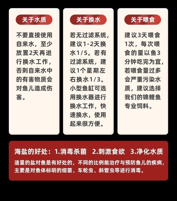 204e4ff5-ea3c-4a4f-b804-d79db5956011.jpe