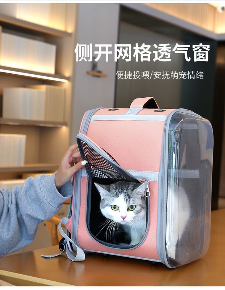 bd2ca5ca-08c5-4b3a-86e2-6aa8d8367d30.jpe