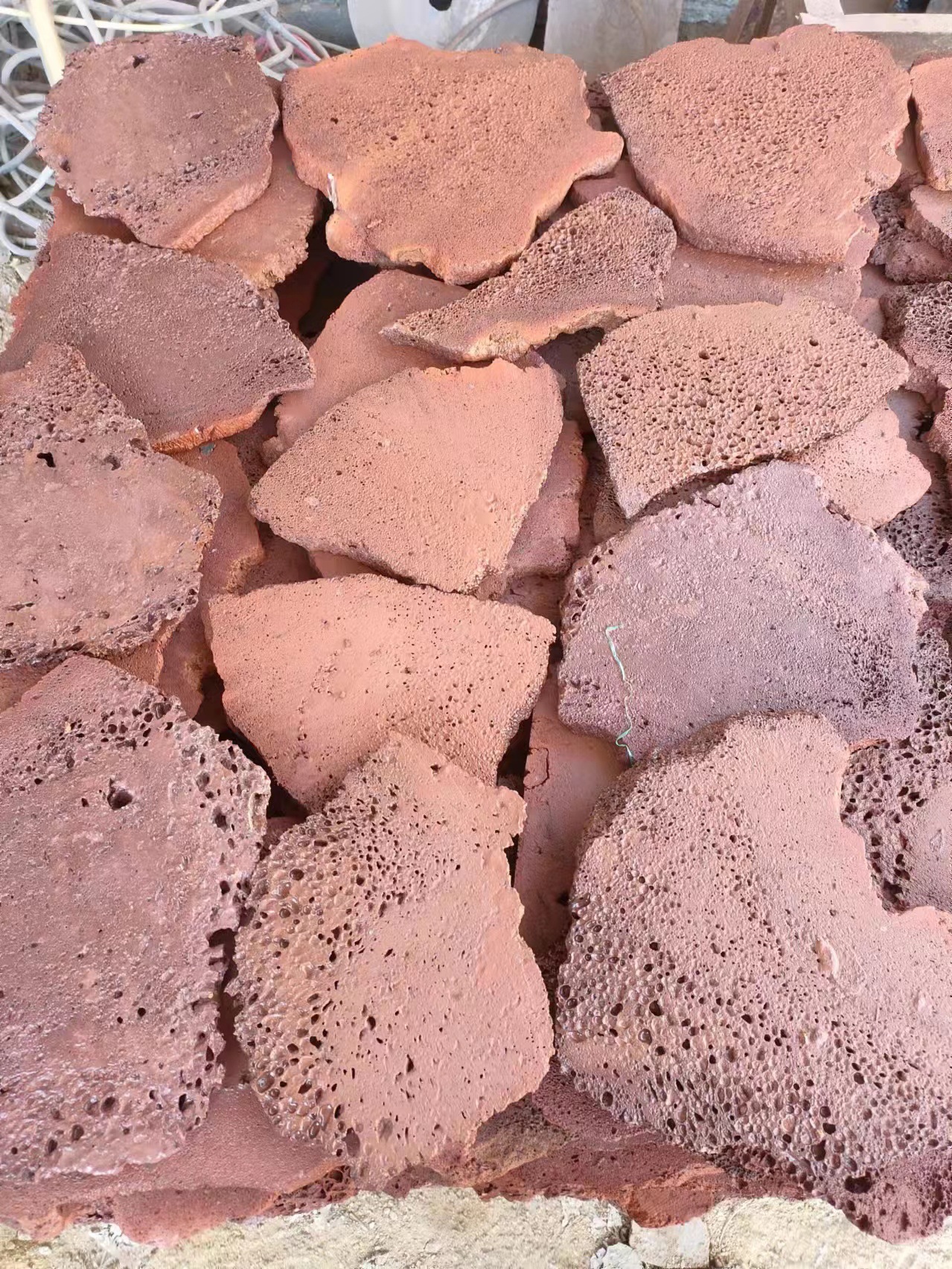 微信图片_20230730164044