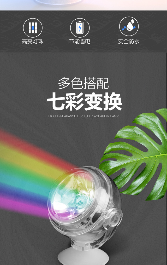 8758c88d-bfc9-4479-9806-3b6bbf6fb33b.jpe