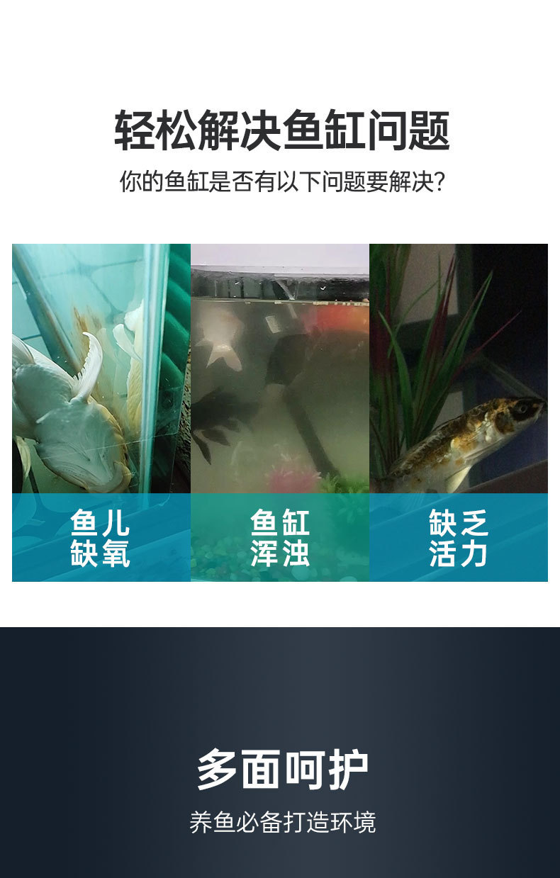 H_02.jpg