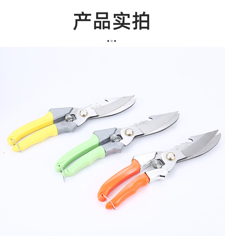 3-大蒜剪刀_13.jpg