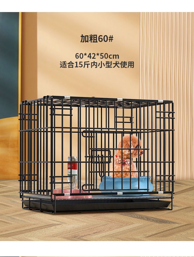 0f4f6c5a-73f4-4057-8b38-3f28d62178b7.jpe