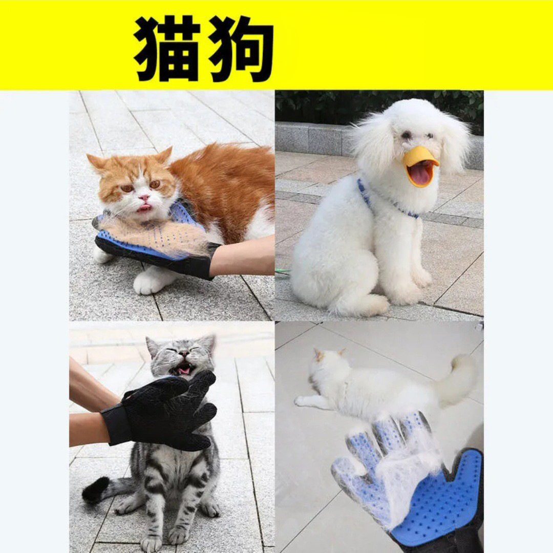 详情2.jpg