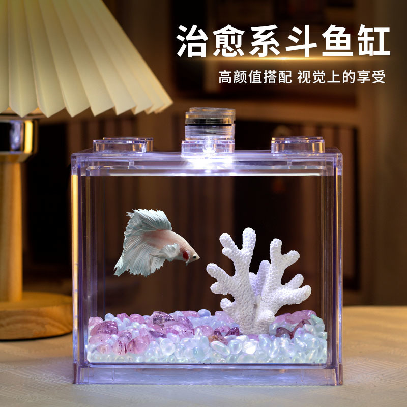 02ea948f-b567-492f-b231-936e13ddb9e5.jpe