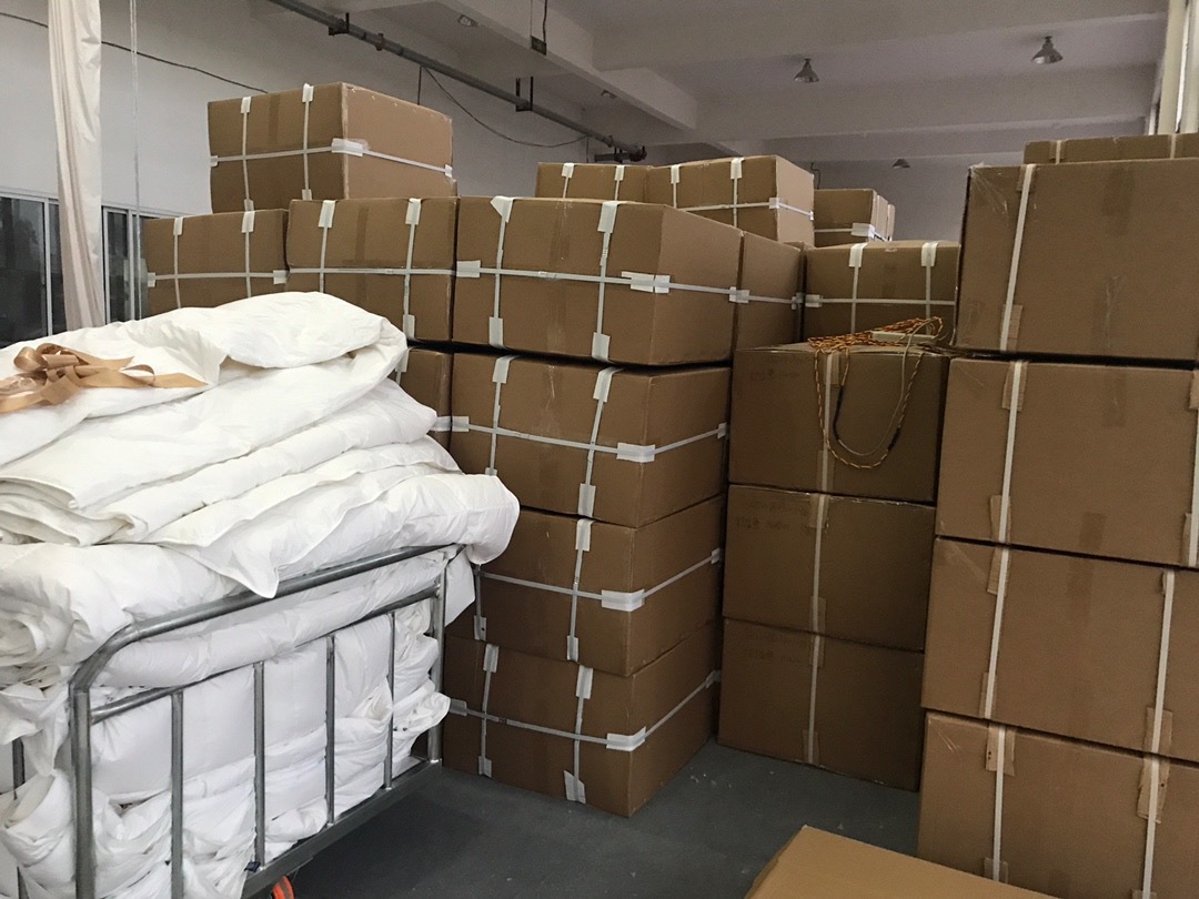 IMG_1192(20221110-181240)