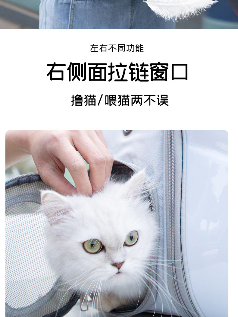 c7b90285-778e-4889-a52a-fe0ae4518d99.jpe