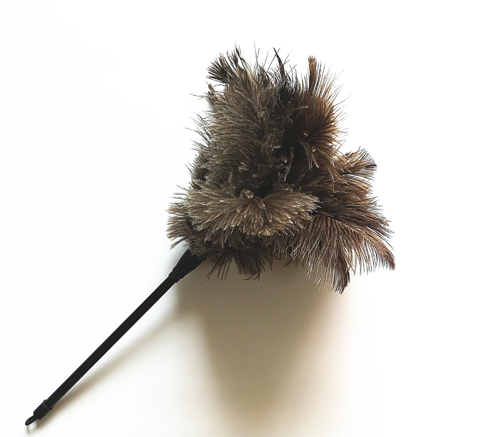 IMG_20191105_105455_副本