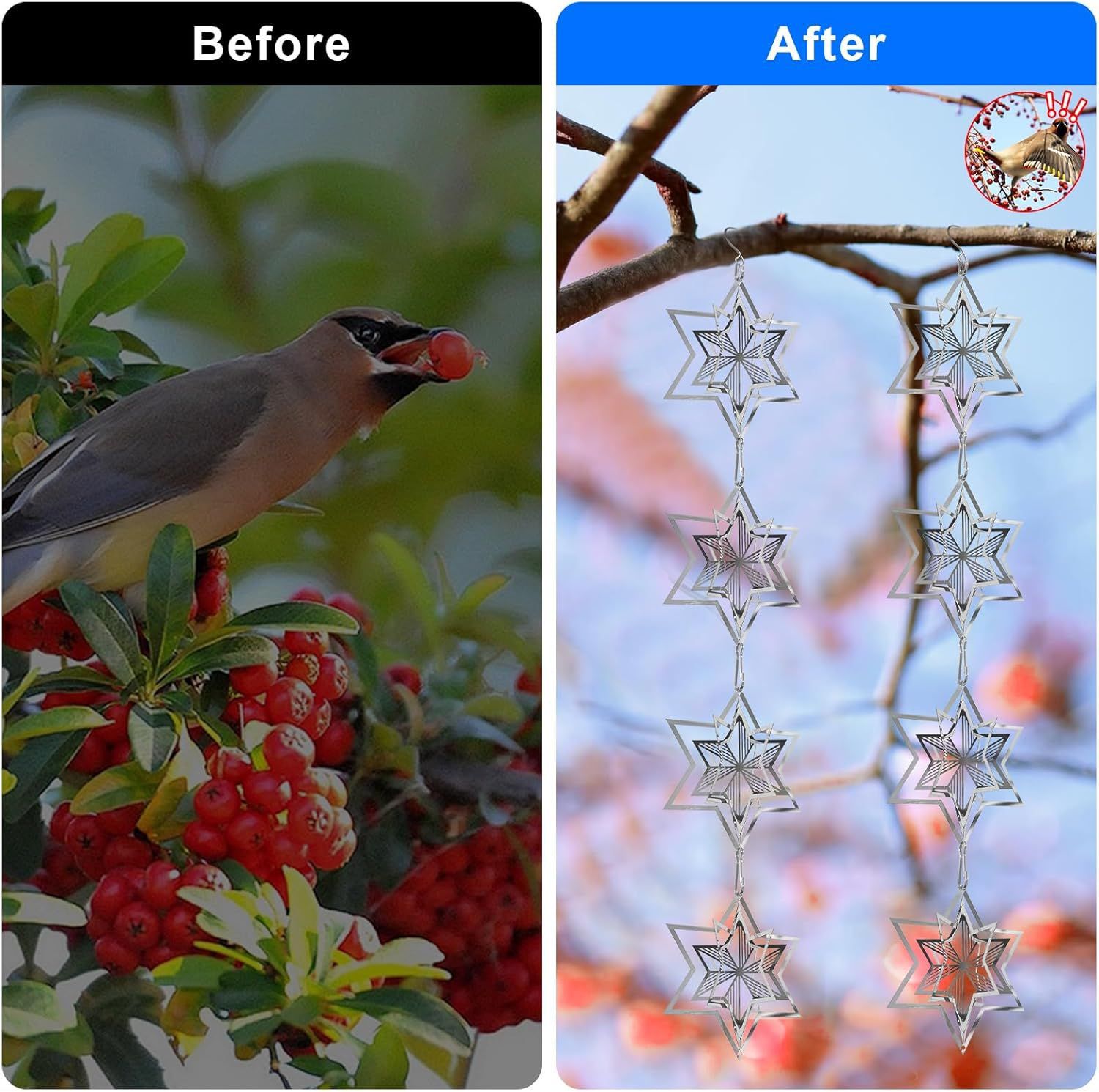 17ed9dcfa682e564fc9a92be1f95fa